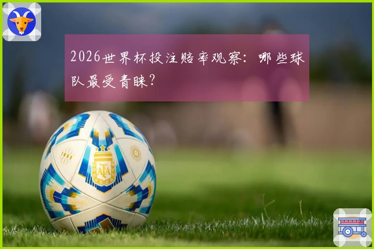 2026世界杯投注赔率观察：哪些球队最受青睐？