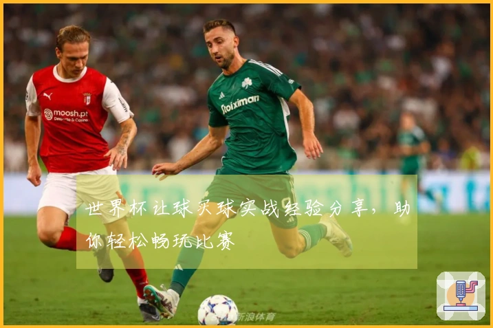 世界杯让球买球实战经验分享，助你轻松畅玩比赛