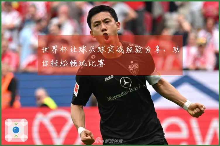 世界杯让球买球实战经验分享，助你轻松畅玩比赛